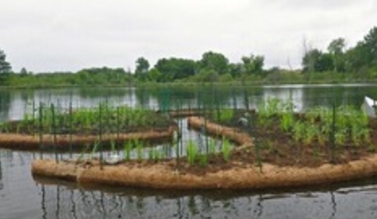 Free Webinar on Smart Stormwater Strategies Hosted by MnDOT Set for This Thursday