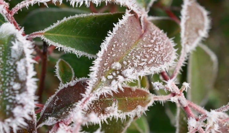 Freeze Warning in Effect Until 9 AM for Milwaukee Area, NWS Advises Protection Against Early Frost