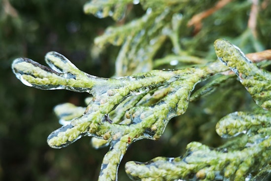 Frost Advisory for Raleigh Residents as Sunny Skies and Mild Temperatures Follow a Chilly Start