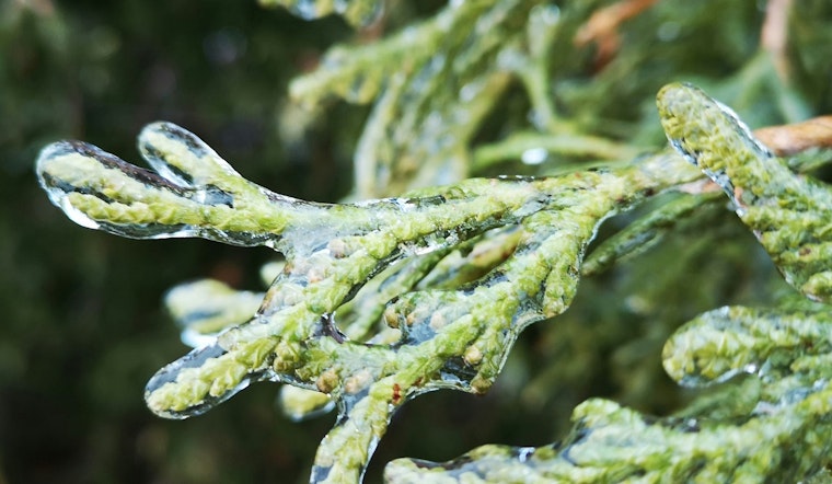 Frost Advisory for Raleigh Residents as Sunny Skies and Mild Temperatures Follow a Chilly Start
