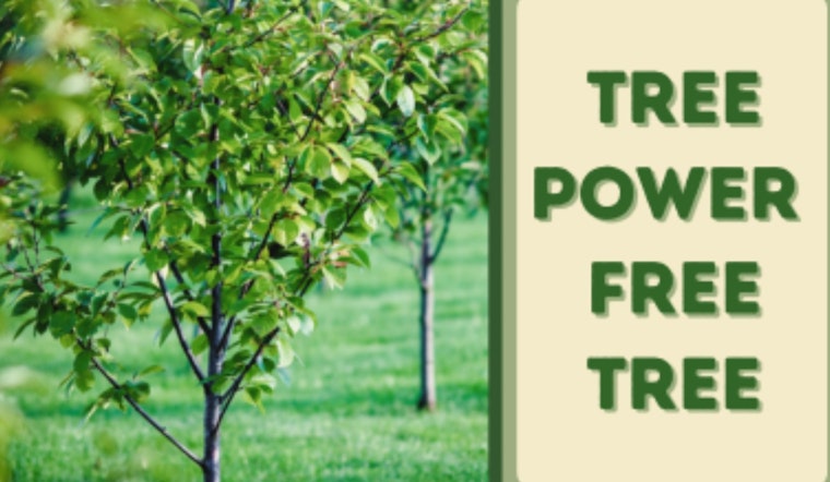 Garland Residents Can Go Green with Free Trees Through Local Energy Efficiency Program
