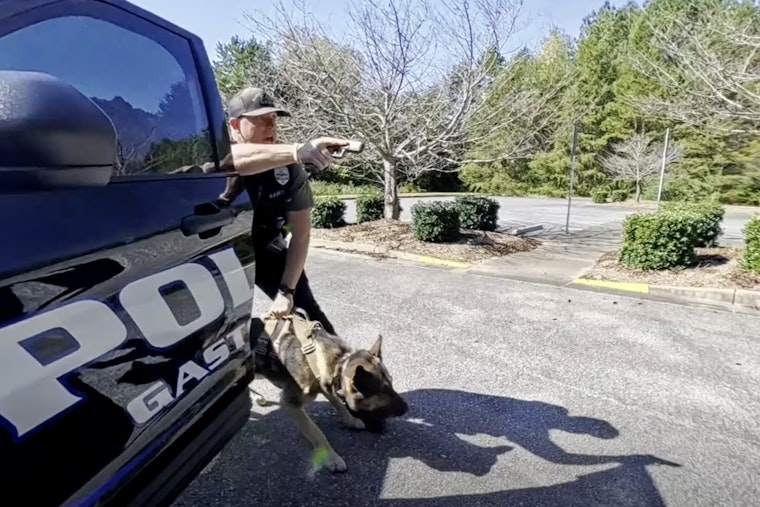 Gastonia, North Carolina Hosts National K-9 Trials, Celebrating Canine Officers and Law Enforcement Unity