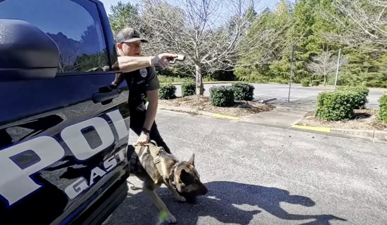 Gastonia, North Carolina Hosts National K-9 Trials, Celebrating Canine Officers and Law Enforcement Unity