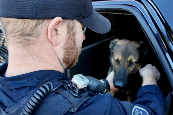 Gastonia Police and K-9 Team Swiftly Apprehend Suspected Car Thieves After Alert Neighbor Reports Incident