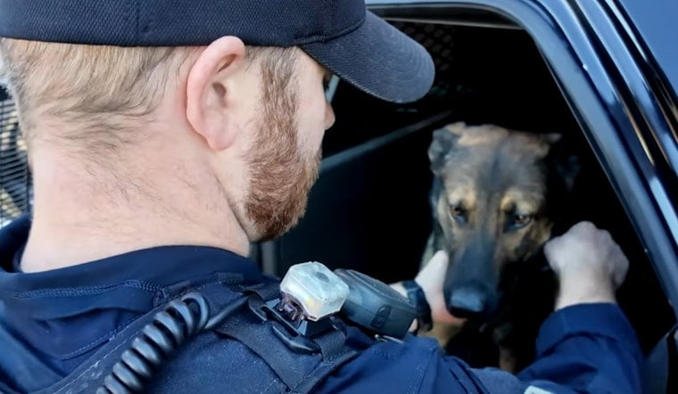 Gastonia Police and K-9 Team Swiftly Apprehend Suspected Car Thieves After Alert Neighbor Reports Incident