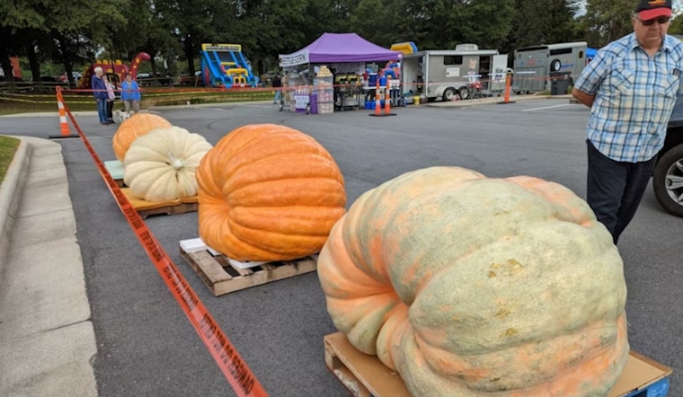 Giant Leap for Gourds: Hamilton's Operation Pumpkin Hosts Near-Record-Breaking 2,518 Pound Entry