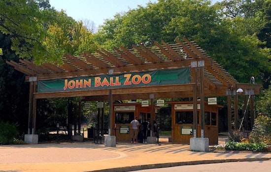 Grand Rapids Welcomes Hugo: John Ball Zoo's Endangered Pygmy Hippo Calf Captivates the Public