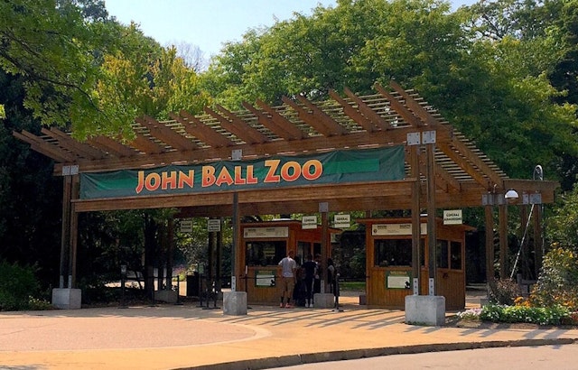 Grand Rapids Welcomes Hugo: John Ball Zoo's Endangered Pygmy Hippo Calf Captivates the Public