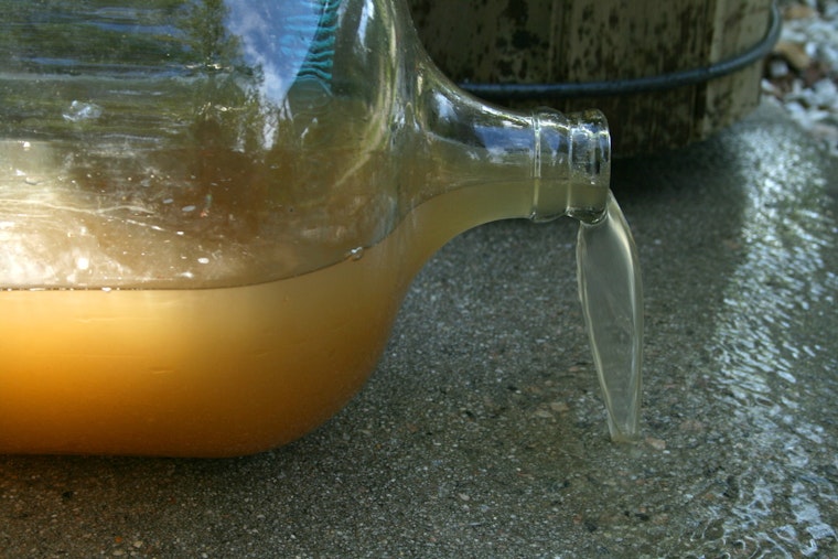 Harlem Residents Distressed by Persistent Brown Tap Water Despite DEP Safety Assurances
