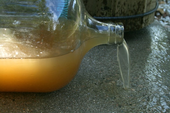Harlem Residents Distressed by Persistent Brown Tap Water Despite DEP Safety Assurances