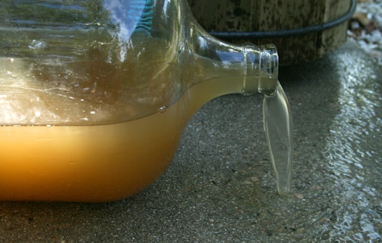 Harlem Residents Distressed by Persistent Brown Tap Water Despite DEP Safety Assurances