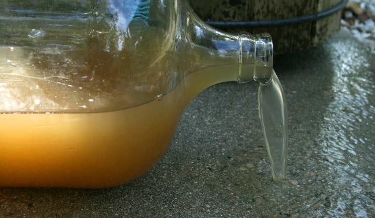Harlem Residents Distressed by Persistent Brown Tap Water Despite DEP Safety Assurances