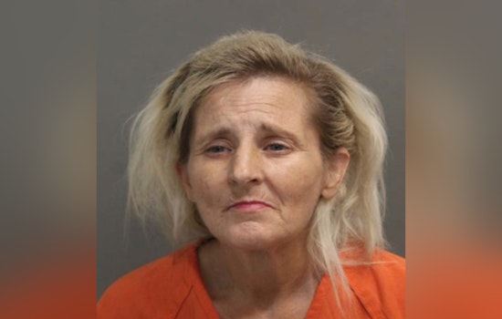 Harris County Woman Arrested for Terroristic Threat, Drug Possession Near FM 1960