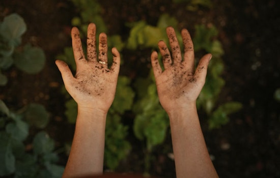 Hawaiʻi Launches Hele Imua Internship to Cultivate New Generation of Farmers