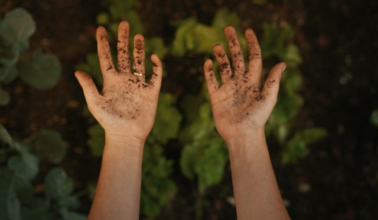 Hawaiʻi Launches Hele Imua Internship to Cultivate New Generation of Farmers