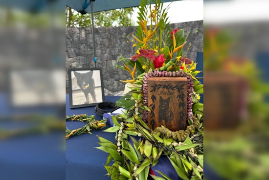 Hawai‘i Police Department Honors K9 Hero Archer with Memorial Service in Hilo