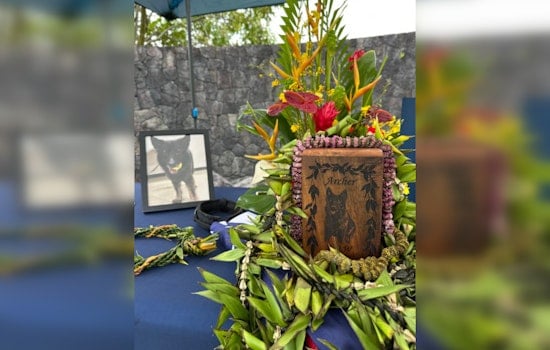 Hawai‘i Police Department Honors K9 Hero Archer with Memorial Service in Hilo