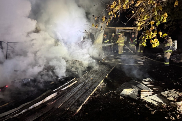 Heartbreaking Blaze in Arlington Township, Michigan, 21 Dogs Perish in Early Morning Fire