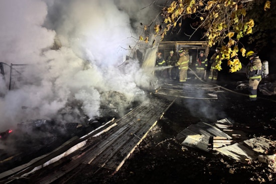 Heartbreaking Blaze in Arlington Township, Michigan, 21 Dogs Perish in Early Morning Fire