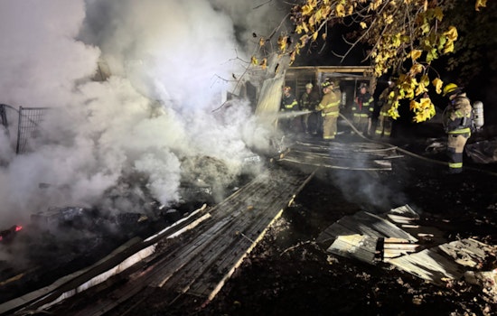 Heartbreaking Blaze in Arlington Township, Michigan, 21 Dogs Perish in Early Morning Fire