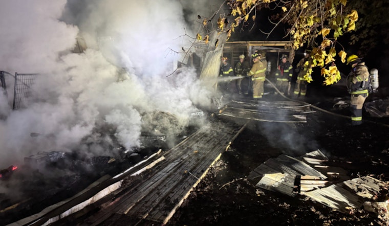 Heartbreaking Blaze in Arlington Township, Michigan, 21 Dogs Perish in Early Morning Fire