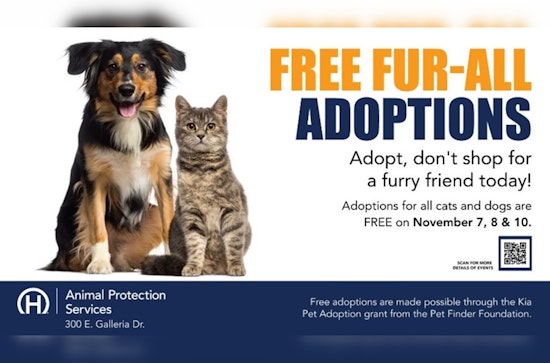 Henderson Animal Protection Services Offers No-Cost Pet Adoptions, Courtesy of Kia Pet Adoption Grant