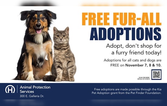 Henderson Animal Protection Services Offers No-Cost Pet Adoptions, Courtesy of Kia Pet Adoption Grant