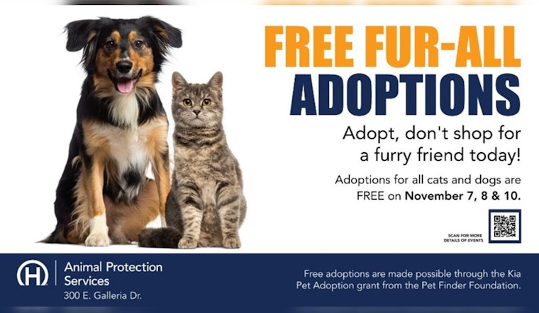 Henderson Animal Protection Services Offers No-Cost Pet Adoptions, Courtesy of Kia Pet Adoption Grant