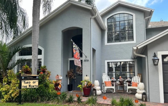 Hillsborough County Honors Local Communities for Exceptional Efforts in Hurricane Aftermath