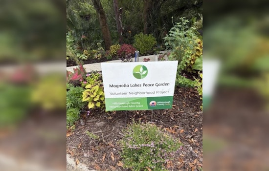 Hillsborough County Invites Community Spirit with $5,000 Mini-Grants for Local Neighborhood Projects