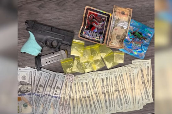 Hillsborough County Traffic Stop Uncovers Stolen Firearm and Drugs, Luis Serrano Charged with Multiple Felonies