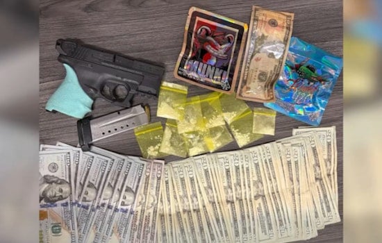 Hillsborough County Traffic Stop Uncovers Stolen Firearm and Drugs, Luis Serrano Charged with Multiple Felonies