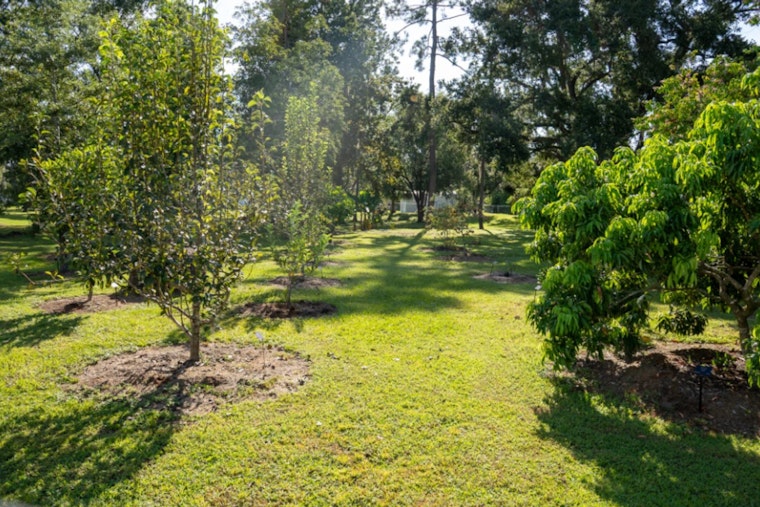 Hillsborough County's UF/IFAS Extension Earns Prestigious ArbNet Accreditation for Local Arboretum