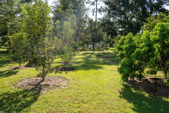 Hillsborough County's UF/IFAS Extension Earns Prestigious ArbNet Accreditation for Local Arboretum
