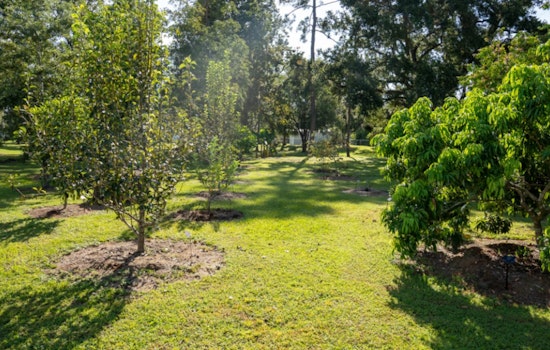 Hillsborough County's UF/IFAS Extension Earns Prestigious ArbNet Accreditation for Local Arboretum