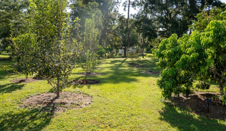 Hillsborough County's UF/IFAS Extension Earns Prestigious ArbNet Accreditation for Local Arboretum