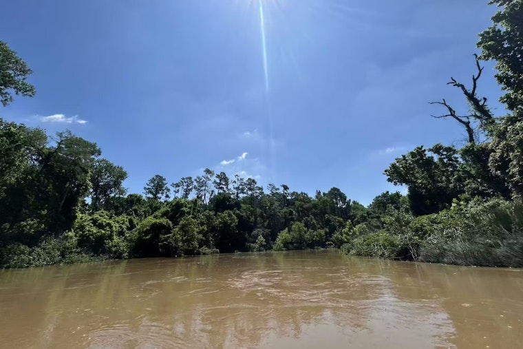 Houston Celebrates Inauguration of 7.7-Mile Greens Bayou Paddling Trail