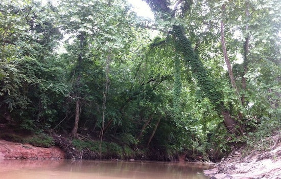 Houston Community Anxious as 22 Bodies Found in Area Bayous This Year with Causes Largely Undetermined