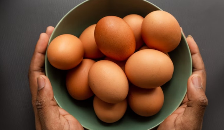 Houston H-E-B Recalls Kenz Henz Eggs Over Salmonella Concerns, Customers Urged to Check Cartons