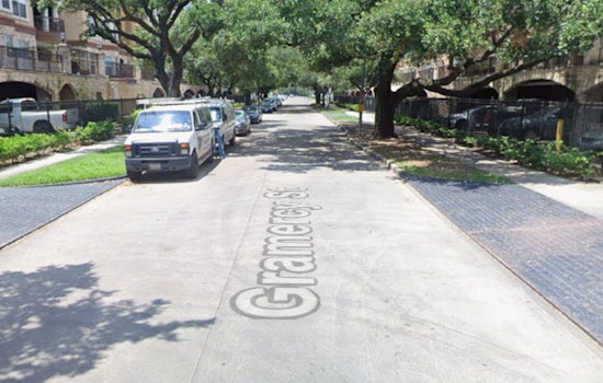 Houston Man Charged with Felony Animal Cruelty, Accused of Abusing Puppy in Southwest Houston Apartment