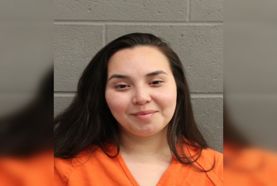 Houston Mother Charged with DWI While Driving with Four Children, Including Infant