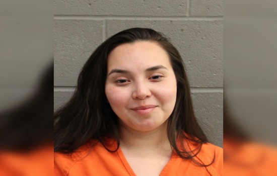 Houston Mother Charged with DWI While Driving with Four Children, Including Infant