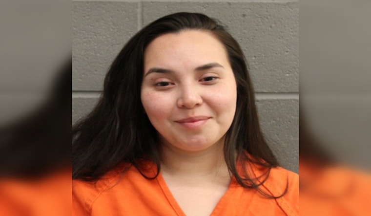Houston Mother Charged with DWI While Driving with Four Children, Including Infant