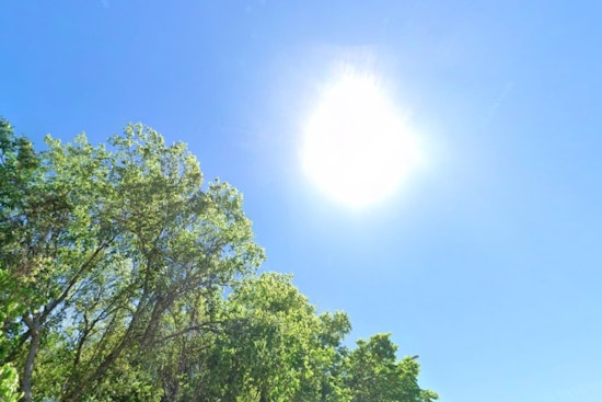 Houston on High Alert for Wildfire Risks Amid Soaring Temperatures and Dry Conditions