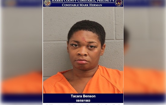 Houston Woman Charged with DWI and Assault on a Peace Officer After West Sam Houston Tollway Incident