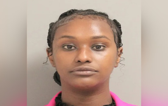 Houston's 'Brick Lady' Sentenced to Probation After Guilty Verdict in $42K GoFundMe Fraud Case