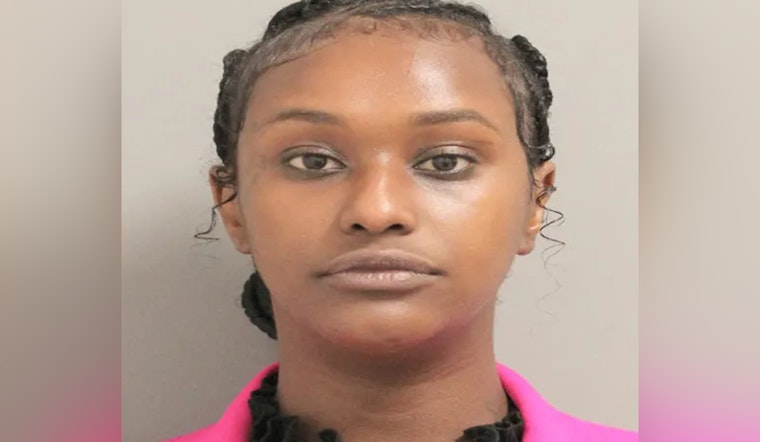 Houston's 'Brick Lady' Sentenced to Probation After Guilty Verdict in $42K GoFundMe Fraud Case