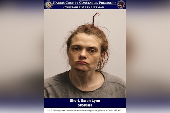 Houston's Harris County Constable Seizes Over 400 Grams of Meth in Major Drug Bust