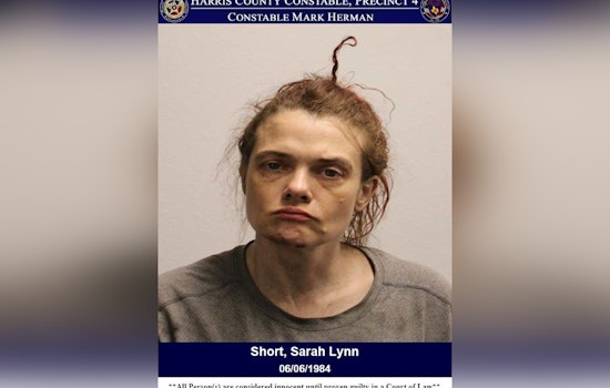 Houston's Harris County Constable Seizes Over 400 Grams of Meth in Major Drug Bust