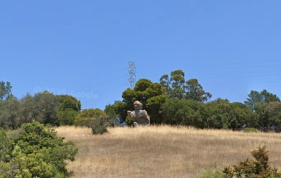 Iconic Saint Junipero Serra Statue Abruptly Removed from Hillsborough's I-280 Landscape